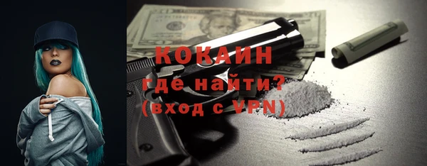 apvp Няндома