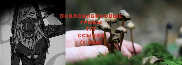 кокс Нягань