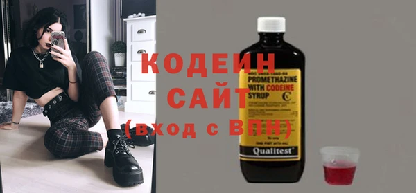apvp Няндома
