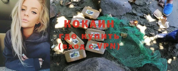 apvp Няндома