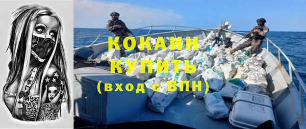 apvp Няндома