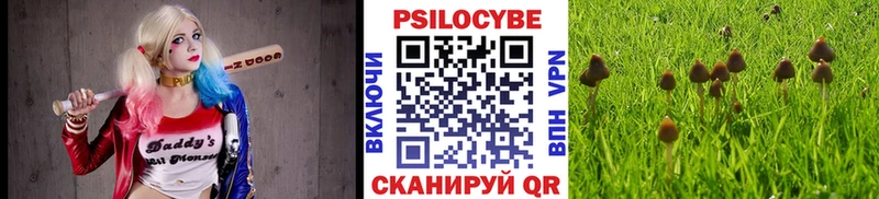 Галлюциногенные грибы Psilocybe  купить закладку  Невинномысск 