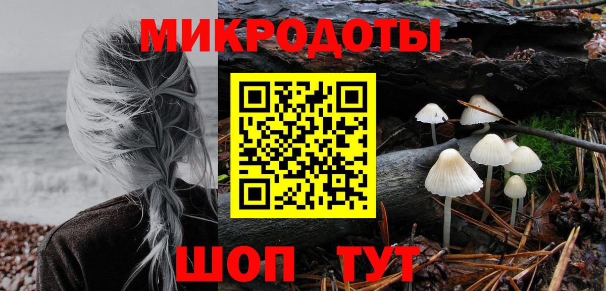 Невинномысск  Галлюциногенные грибы прущие грибы  Вход с VPN 